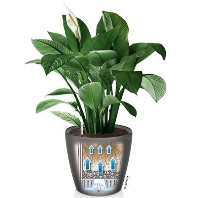 Lechuza 'Cubico 40', taupe, ca. 40 x 40 x H 75 cm Lechuza 'Cubico 40', taupe, ca. 40 x 40 x H 75 cm