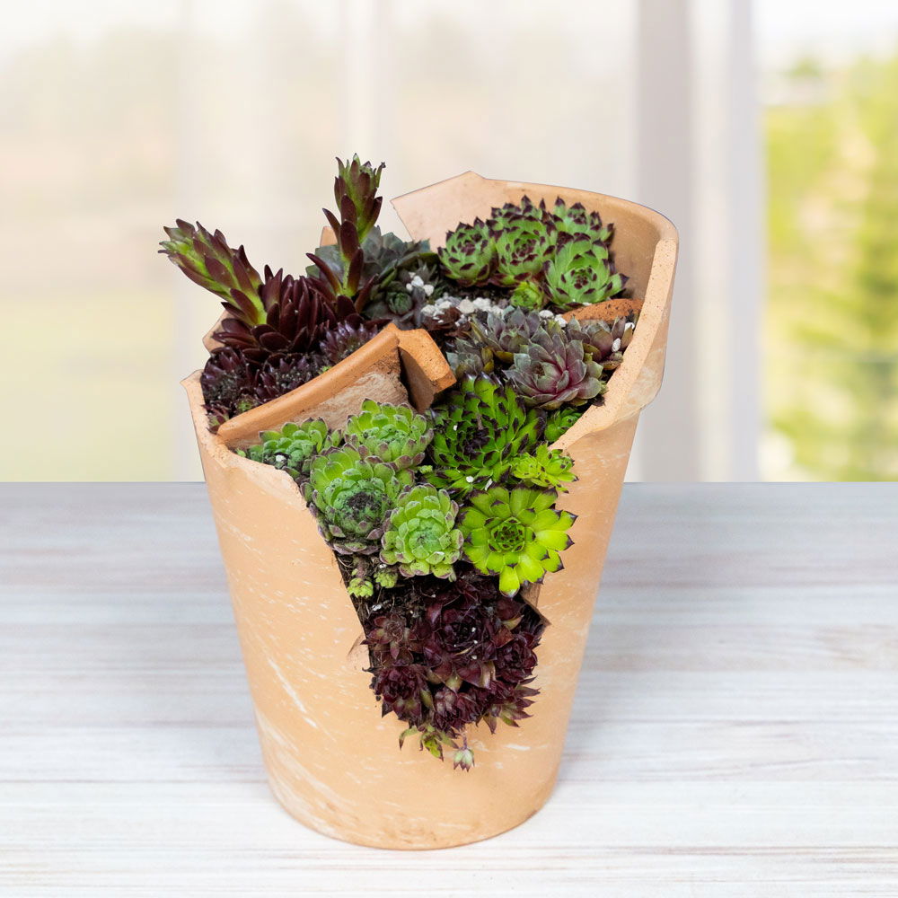 Gartenschule Kreativ 